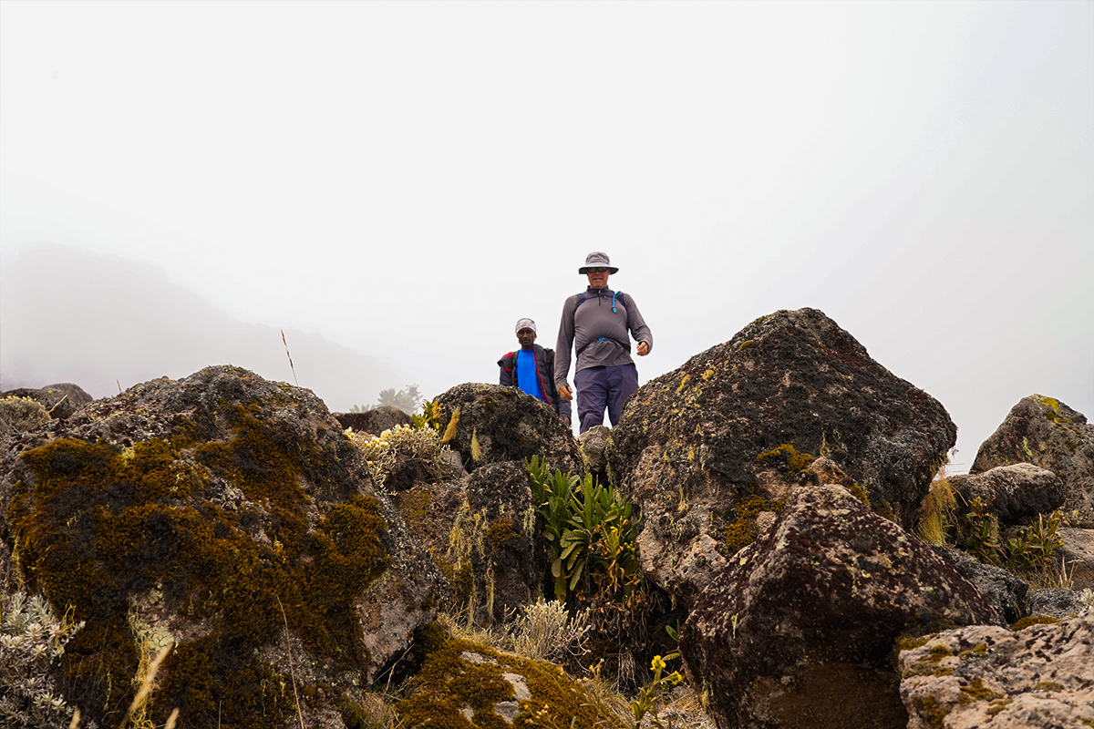 people atempting to climb kilimanjaro